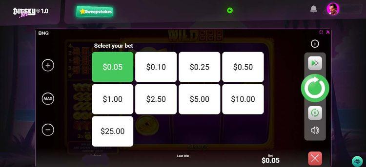 Wild 888- 3.jpg