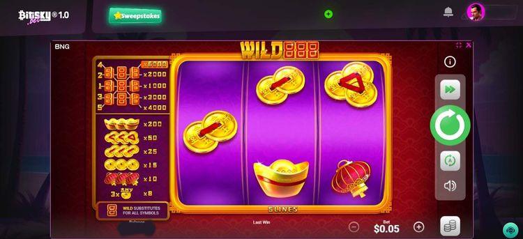 Wild 888- 4.jpg